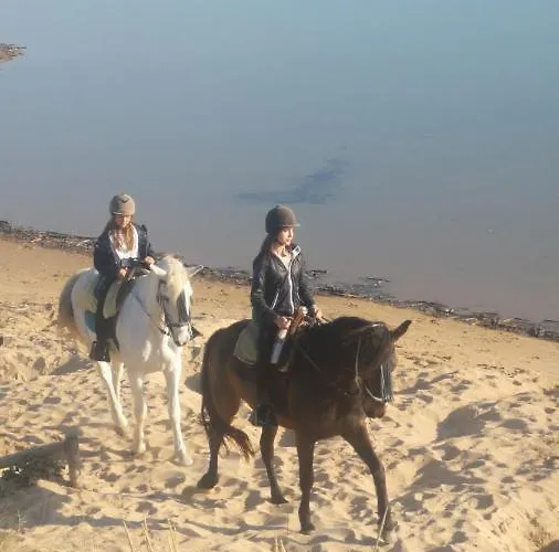 Casa Alma * Conil De La Frontera