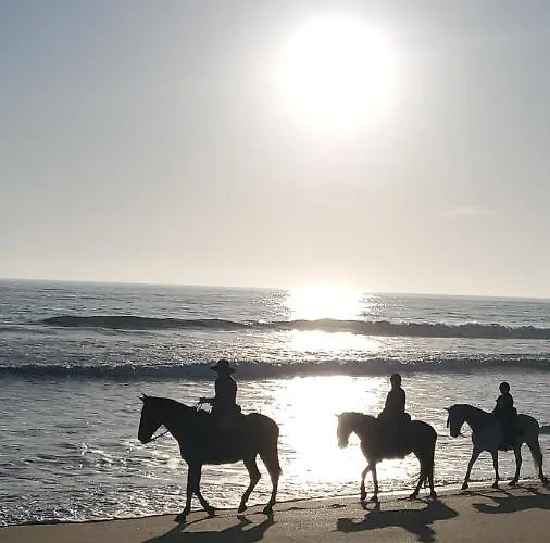 Casa Alma * 콘일데라프론테라